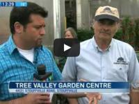 Reporter interviewing staff. Tree valley garden centre stouffville